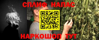 прущие крисы Бийск