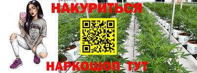 прущие крисы Бийск